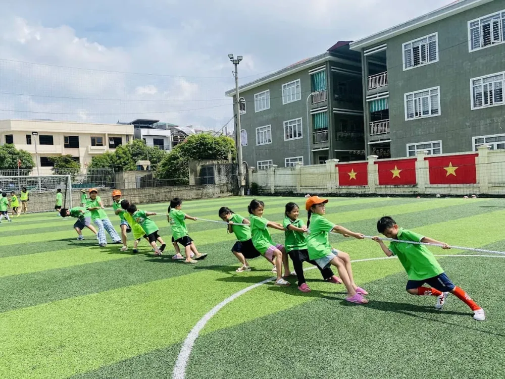 Gallery Stack Foreground